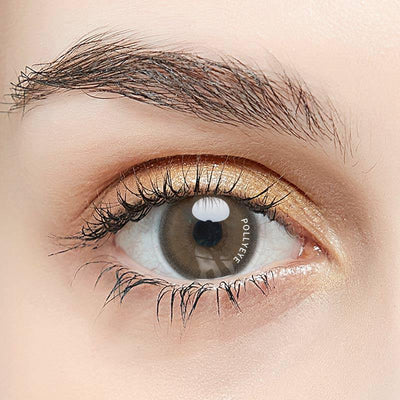 Pollyeye Twilight Choco Colored Contact Lenses