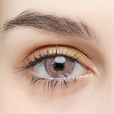 Pollyeye Egypt Brown Colored Contact Lenses - POLLYEYE.COM