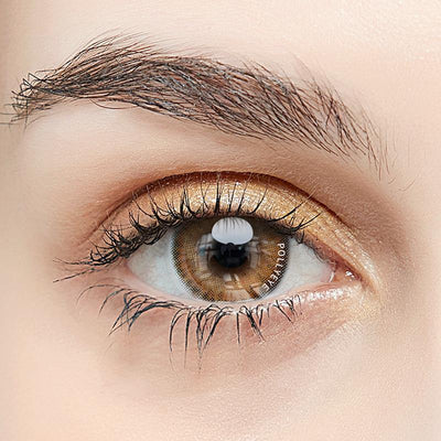 Pollyeye French Kiss Hot Brown Contact Lenses - POLLYEYE.COM