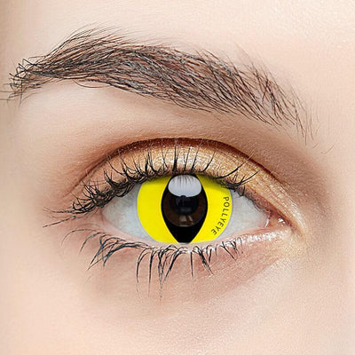 Pollyeye Thrones Golden Dragon Colored Contact Lenses