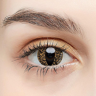 Pollyeye Thrones Leopard Print Brown